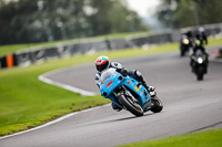 anglesey;brands-hatch;cadwell-park;croft;donington-park;enduro-digital-images;event-digital-images;eventdigitalimages;mallory;no-limits;oulton-park;peter-wileman-photography;racing-digital-images;silverstone;snetterton;trackday-digital-images;trackday-photos;vmcc-banbury-run;welsh-2-day-enduro